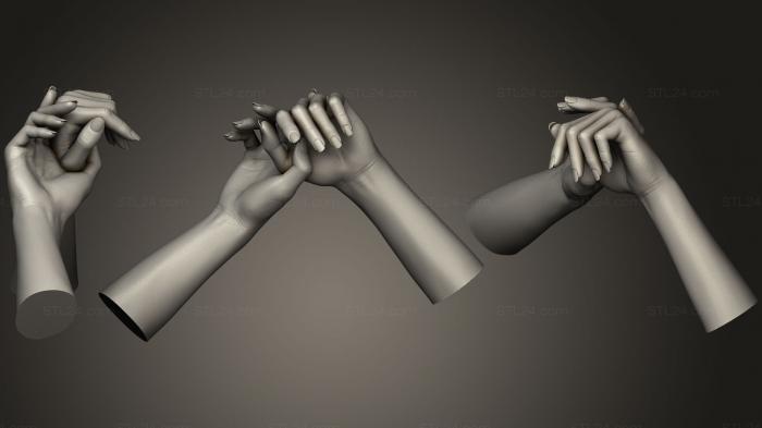 Anatomy of skeletons and skulls (Female Hands 3, ANTM_0474) 3D models for cnc